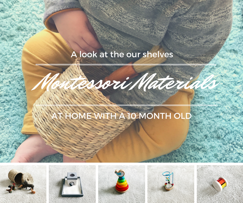 The Montessori Materials we used at home with our 10 month old, spoiler alert; the object permanence box isn't worth the spend!